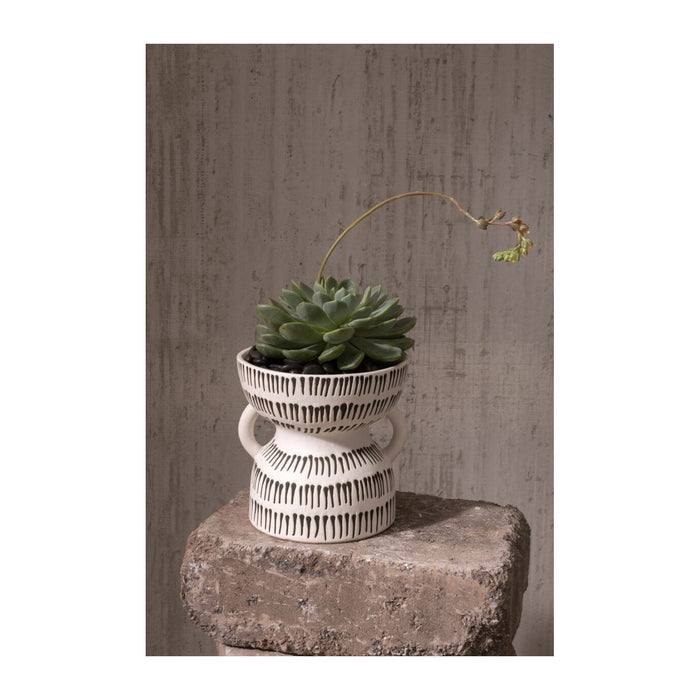AMAZON POT