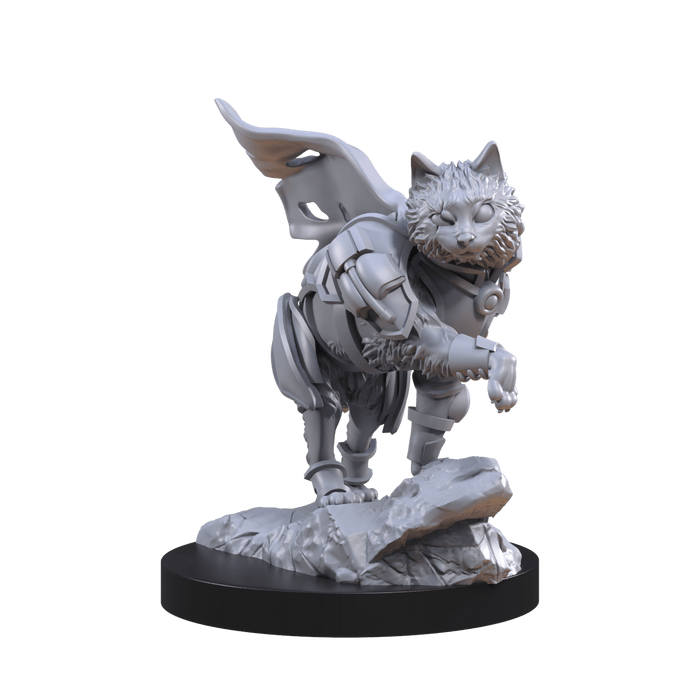 Animal Adventures: Cats of the Faraway Sea - Steamforged Games
