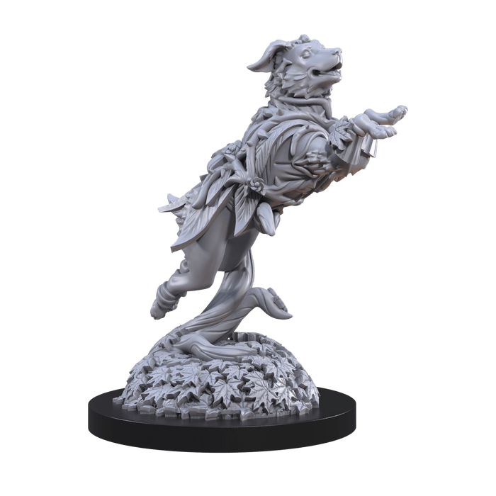 Animal Adventures: Dogs of the Faraway Sea - Steamforged Games
