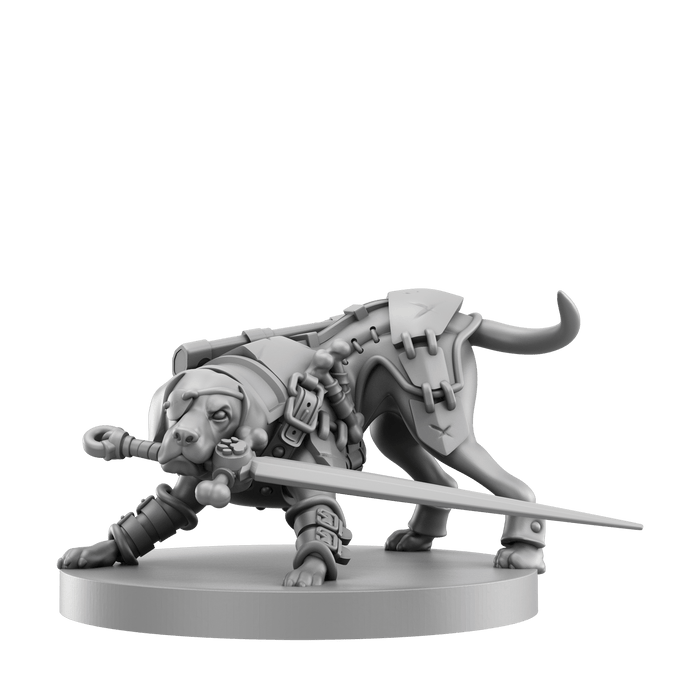 Animal Adventures Starter Set - Steamforged Games