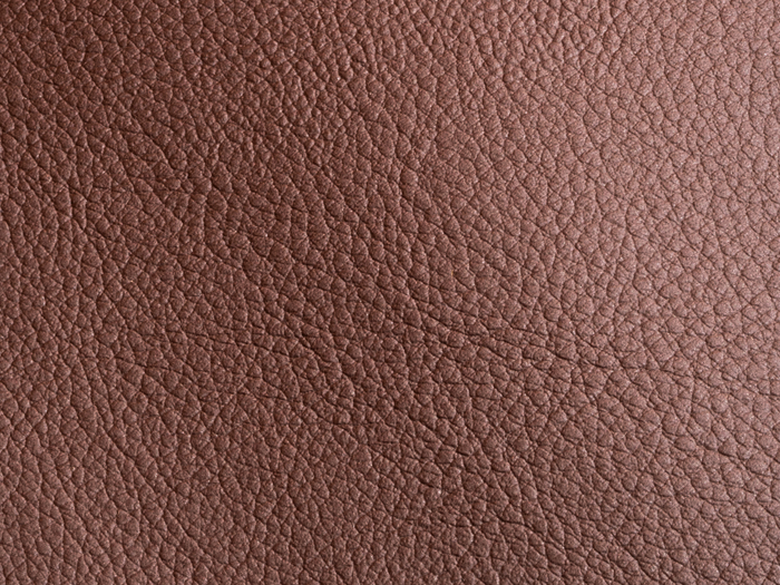 [Terra]