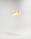Canopy Light
