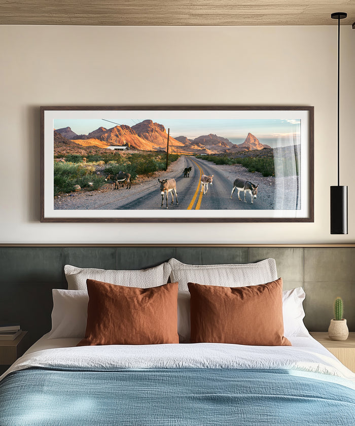 Donkey Highway by Cam Mackey