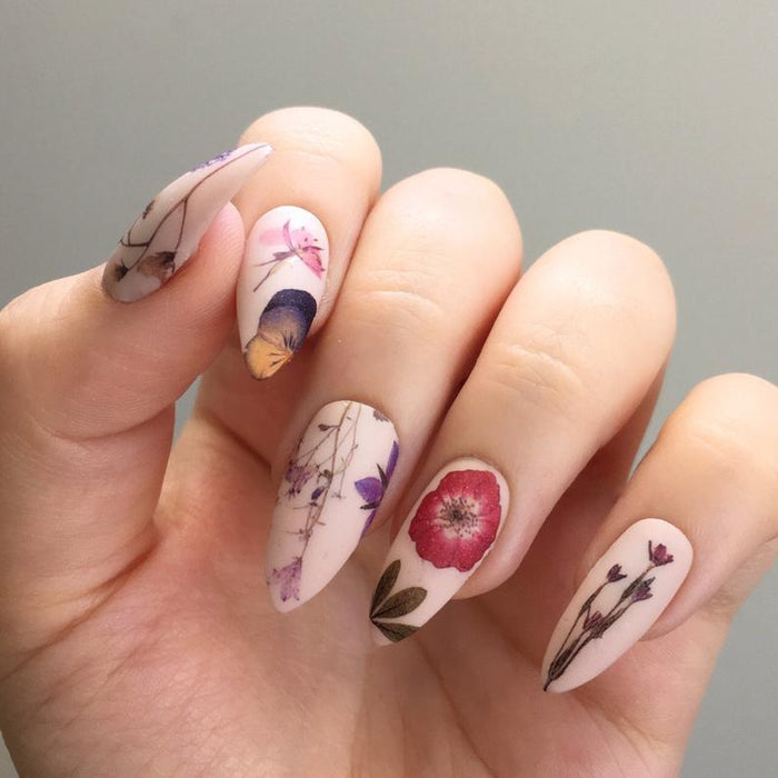 Dry Flower #13 - Angelina Nail Supply NYC