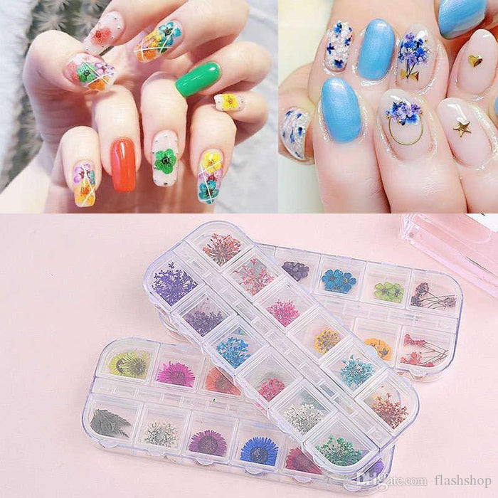 Dry Flower #F09 - Angelina Nail Supply NYC