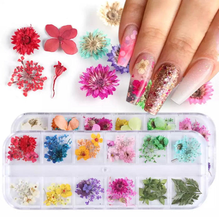 Dry Flower #F09 - Angelina Nail Supply NYC