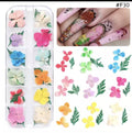 Dry flower #F30 - Angelina Nail Supply NYC