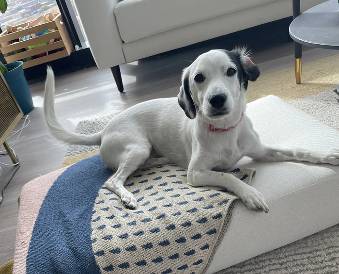 Essential Seating Arms