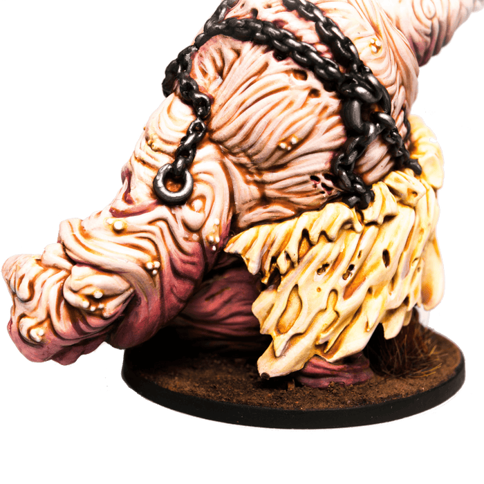 Godtear: Grimgut Champion Expansion - Steamforged Games
