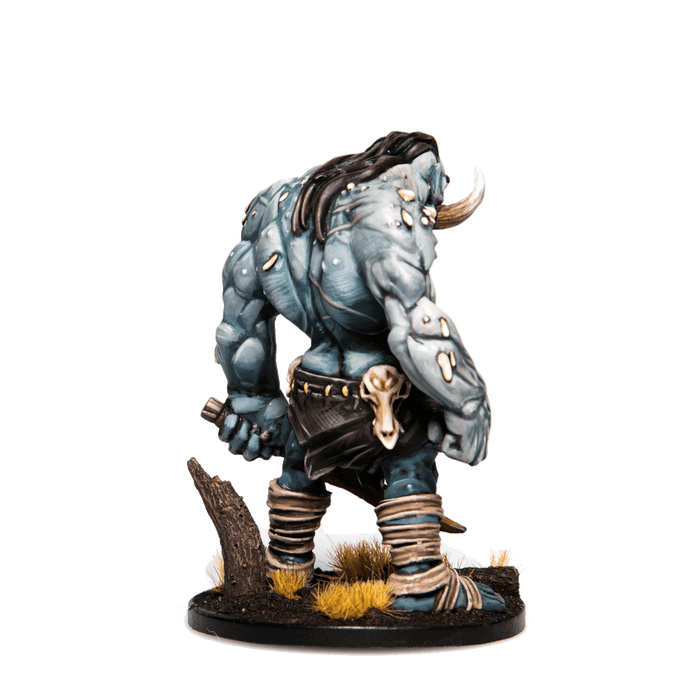 Godtear: Halftusk Champion Expansion - Steamforged Games
