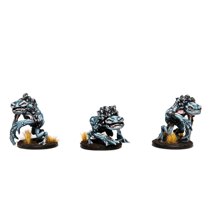 Godtear: Halftusk Champion Expansion - Steamforged Games
