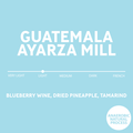 Guatemala / Blue Ayarza