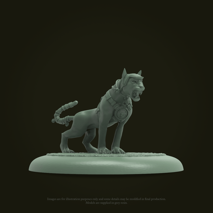 Guild Ball - The Hunters: Blessed of the Sun Father - Steamforged Games