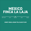 Mexico / Sampieri Family - Finca La Laja