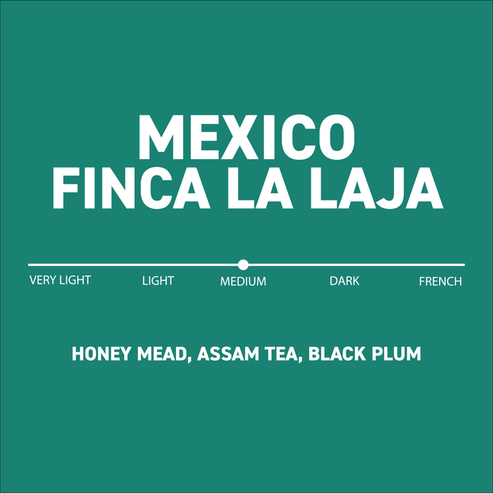 Mexico / Sampieri Family - Finca La Laja