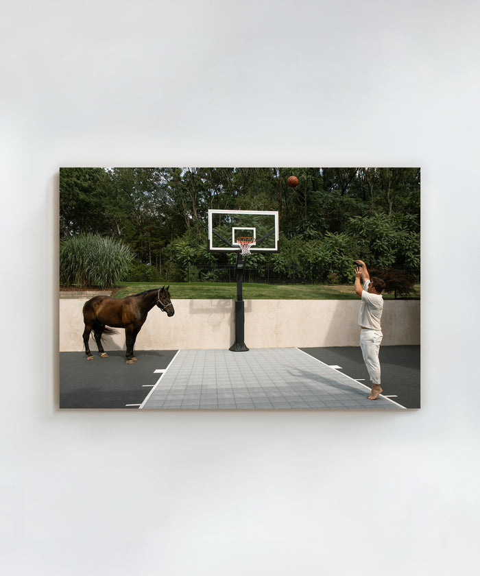 Playing Horse by Hannah Ladd