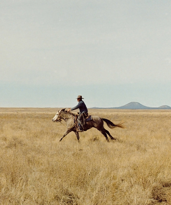 Ranch Days #7 by Taylor Hoover