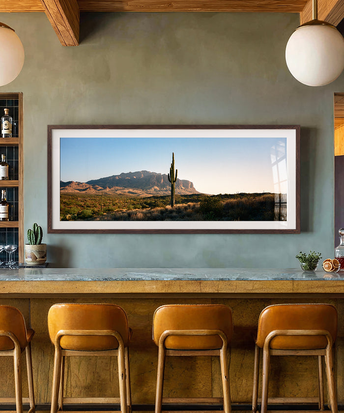 Single Saguaro by Cam Mackey