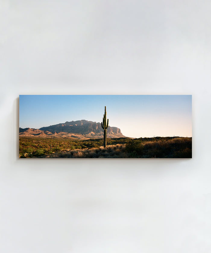 Single Saguaro by Cam Mackey