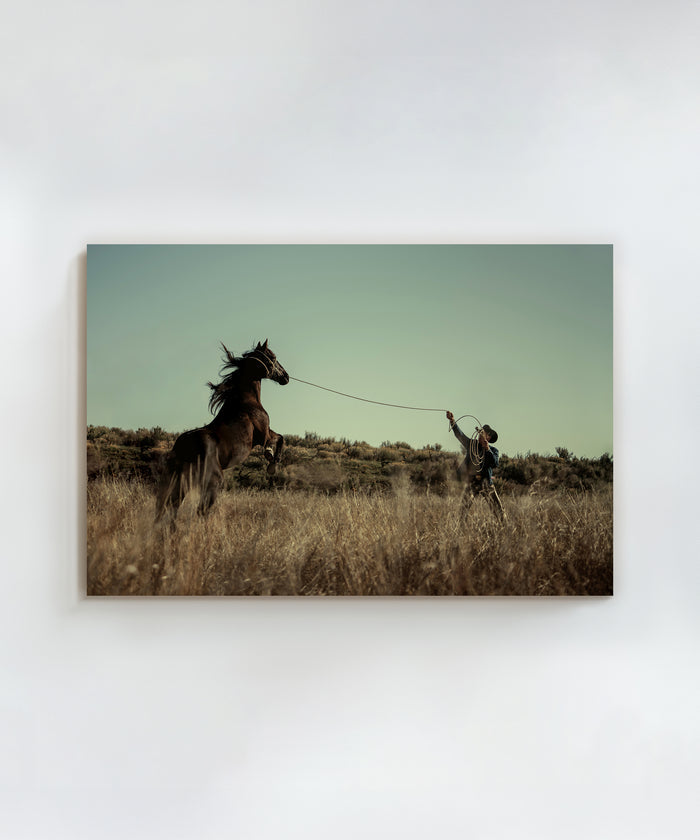 The Cowboy Collection #29 by Ben Christensen