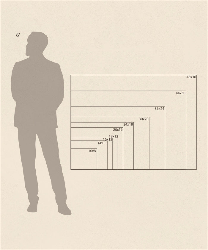 Wildflower Longhorn by Melissa Lakey